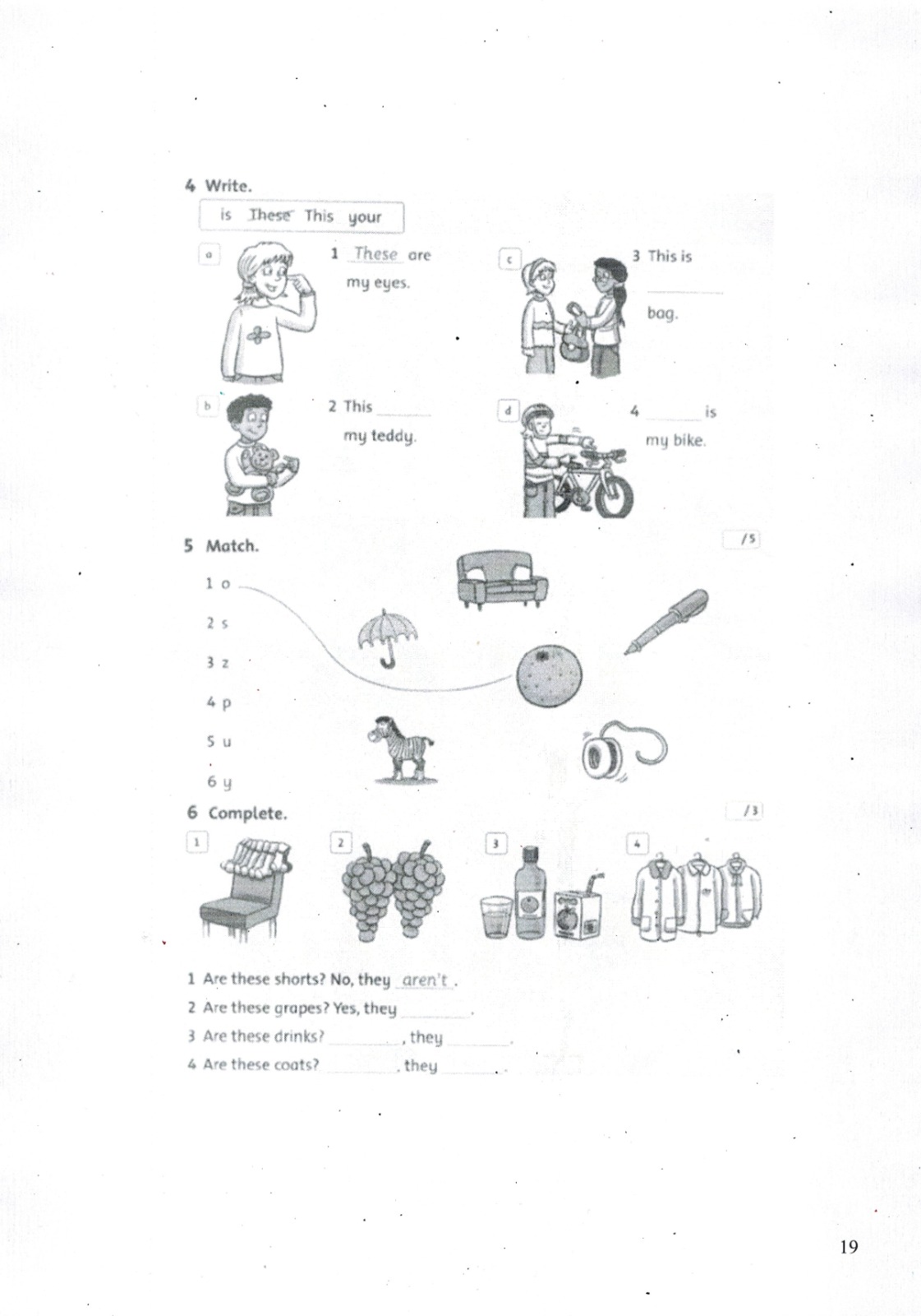 programma-19