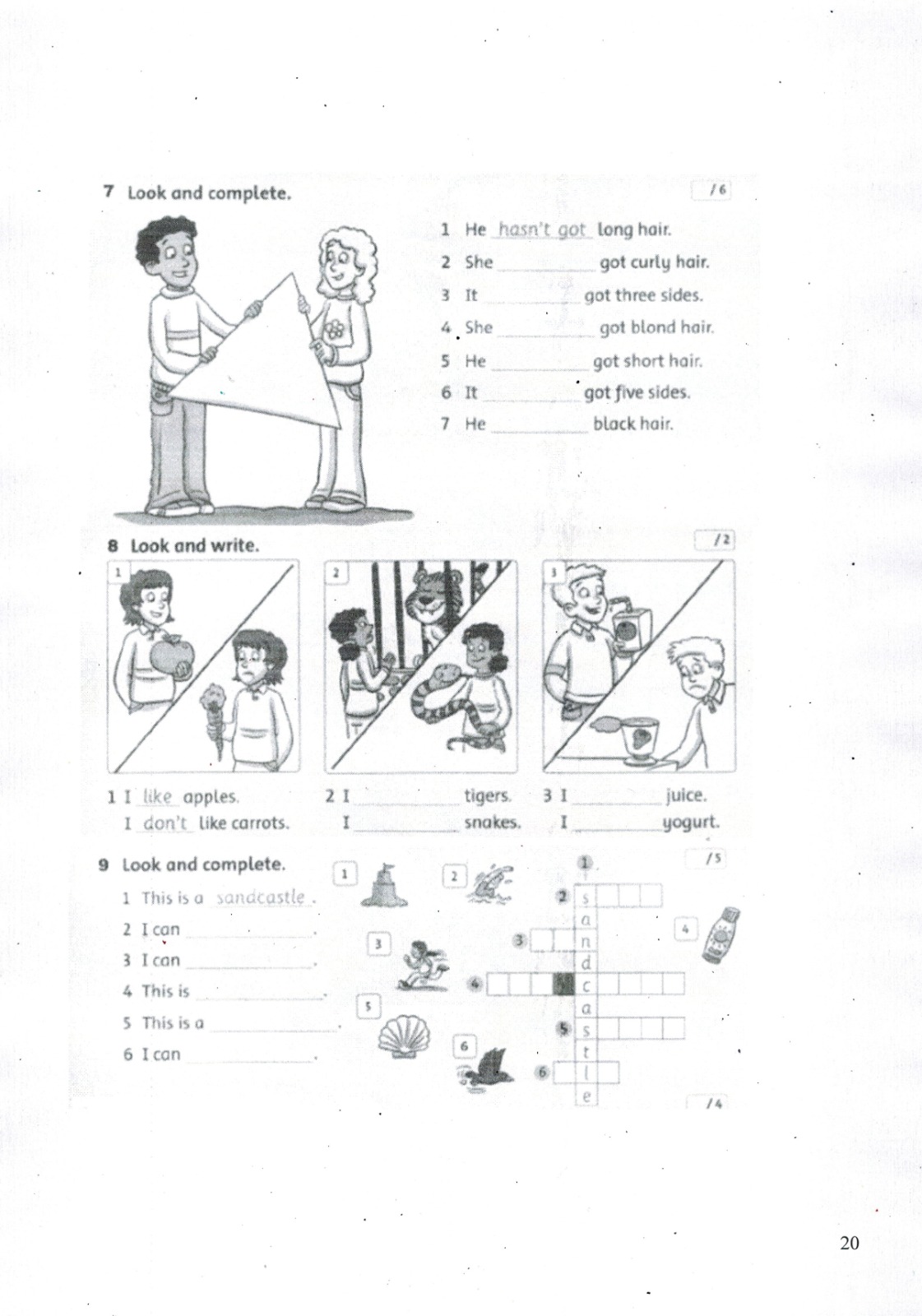 programma-19