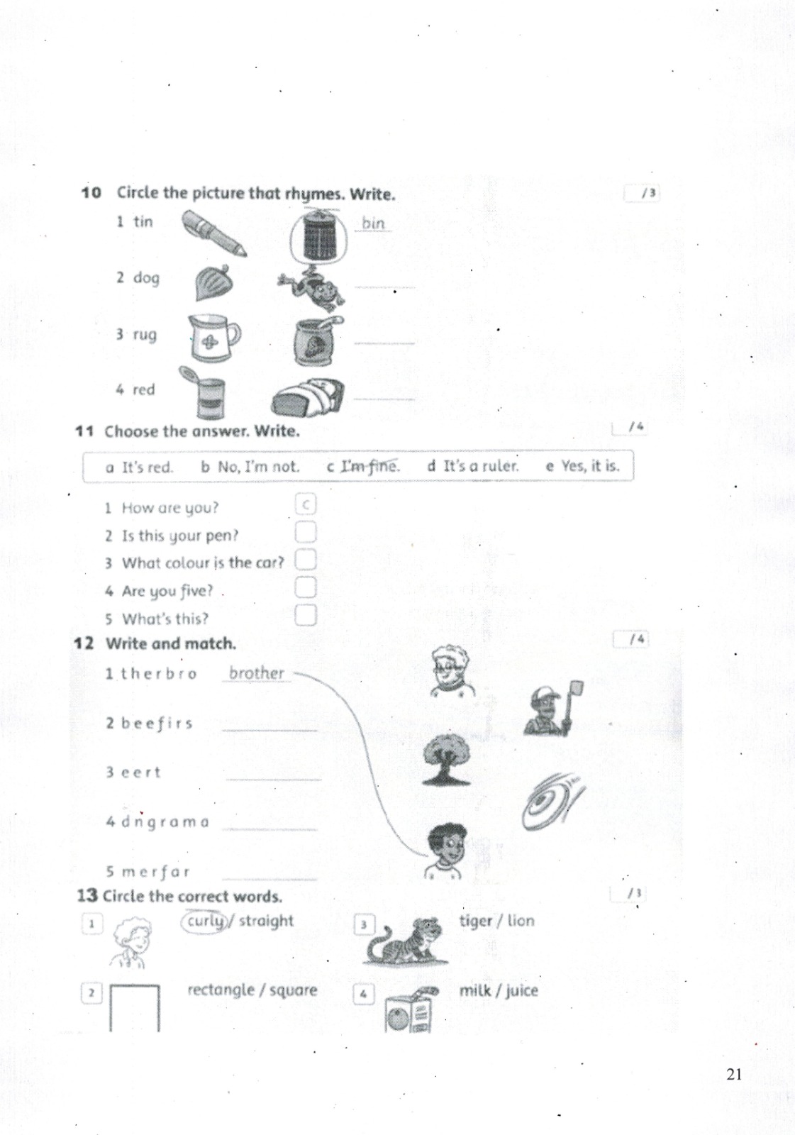 programma-19